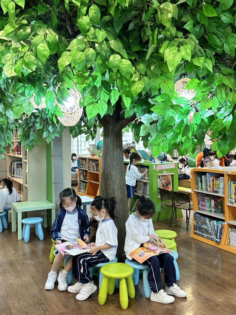 students indulged in reading under the fruitful apple tree in the school library 